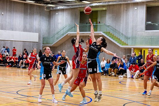 Templeogue v Abbey Seals Dublin Lions